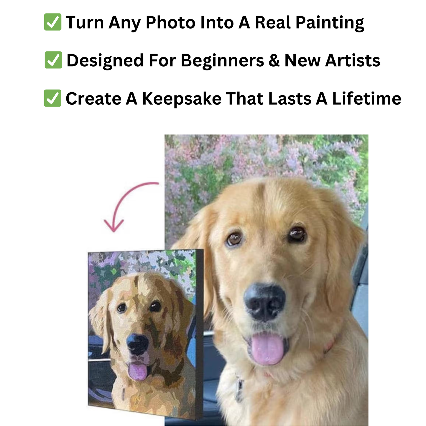 Custom Paint by Number Kit
